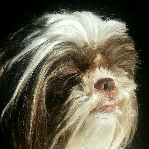 Meet your Posher, Kim - Picture 1 of 1